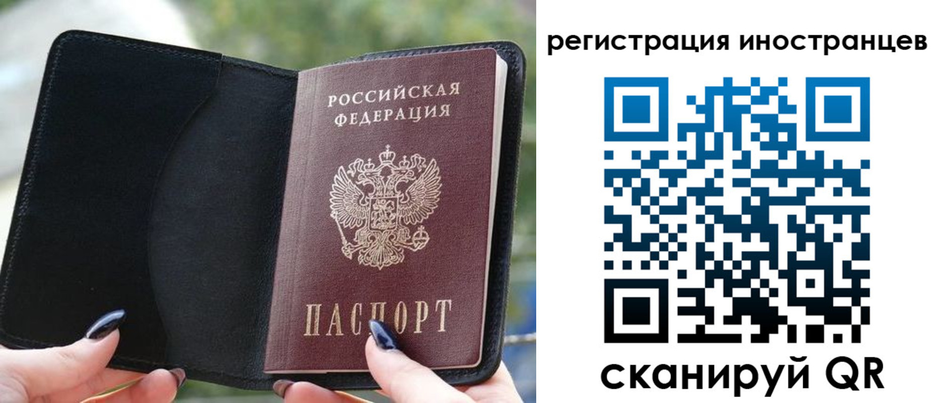 найти адрес прописки в Лихославле